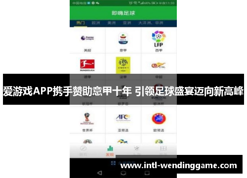 爱游戏APP携手赞助意甲十年 引领足球盛宴迈向新高峰