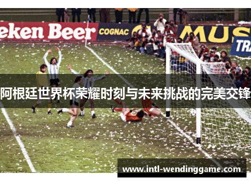 阿根廷世界杯荣耀时刻与未来挑战的完美交锋