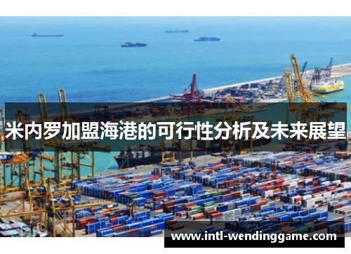 米内罗加盟海港的可行性分析及未来展望
