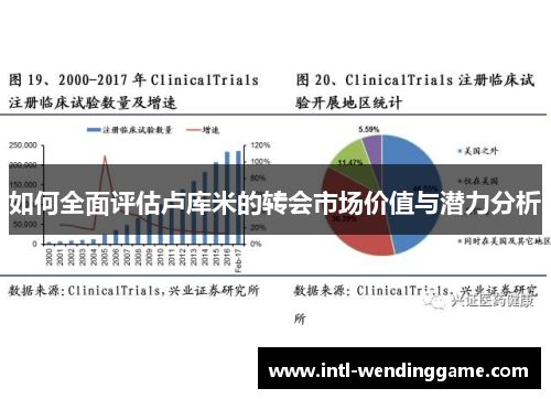 如何全面评估卢库米的转会市场价值与潜力分析
