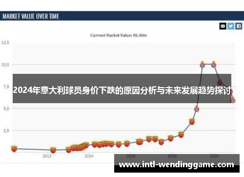 2024年意大利球员身价下跌的原因分析与未来发展趋势探讨