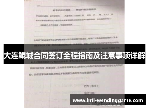 大连鲲城合同签订全程指南及注意事项详解
