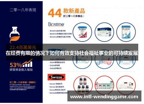 在经费有限的情况下如何有效支持社会福祉事业的可持续发展