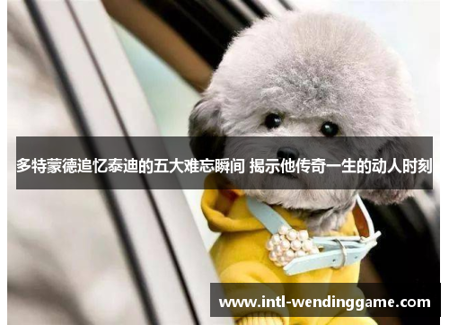 多特蒙德追忆泰迪的五大难忘瞬间 揭示他传奇一生的动人时刻