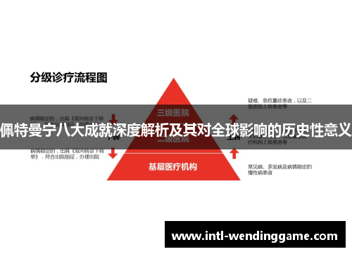 佩特曼宁八大成就深度解析及其对全球影响的历史性意义