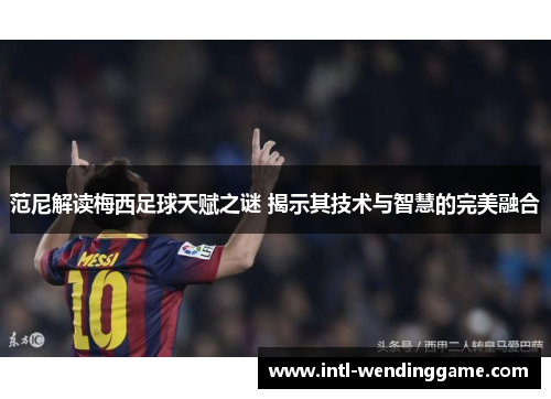 范尼解读梅西足球天赋之谜 揭示其技术与智慧的完美融合